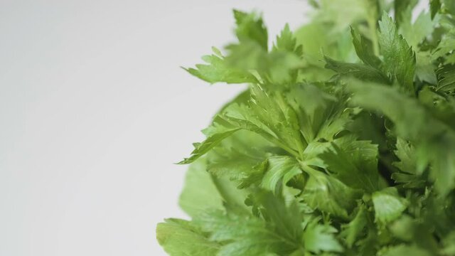 Bok choy and Celery after washed