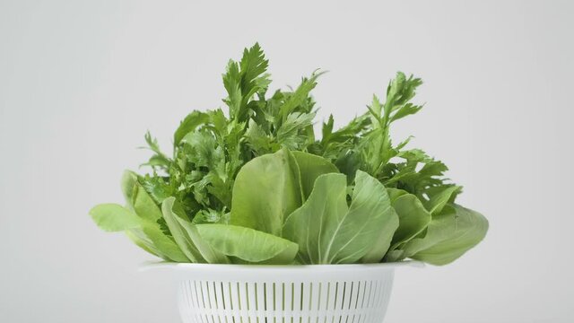 Fresh Bok Choy and Celery after washed