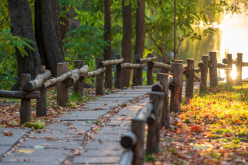 morning park alley in sunlight reflected by lake water. beautiful hiking path to river om morning...