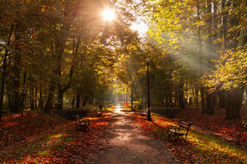 Jesienny poranek w parku miejskim © Mariusz Stoszewski