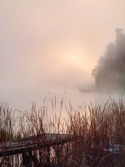 Foggy sunrise over the lake