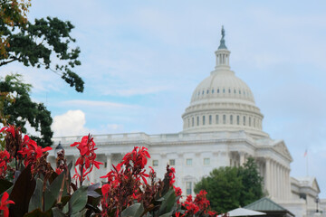 Impressive historic Capitol building with dome and columns in green tree park in Washington DC, D....