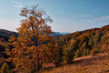 View of countryside hilly landscape in autumn colors.