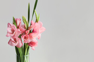 Vase with gorgeous gladiolus flowers on light background