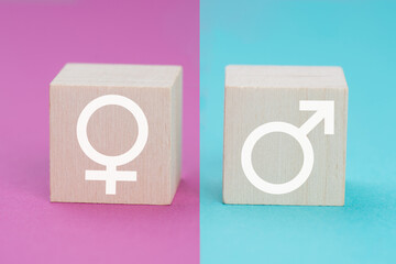Symbols for feminine and masculine on wooden cubes, pink and blue colored background, stereotpye