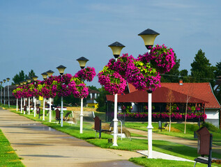 Novi Becej-Tiski quay Serbia is one of the most beautiful