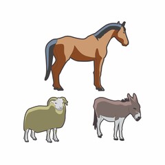 Sheep, donkey and horse. White background. Vector.