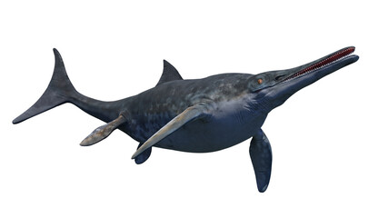 Fototapeta premium Ichthyosaur, extinct marine reptile from Early Triassic to Late Cretaceous, isolated on white background