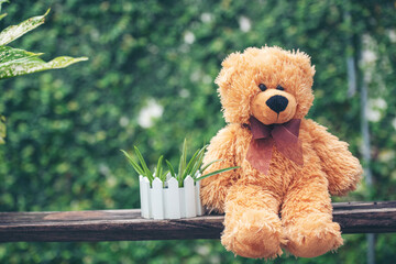 Smiling Teddy bear best friends toy for kids. Adorable Fluffy Brown Teddy Bear happy in green park....