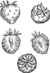 Black and white set of hand drawn strawberry fruits