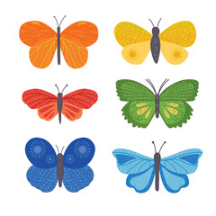 Cartoon pbutterfly with colored wings. Flat vector animal isolated on a white background. Colored rainbow butterfly.