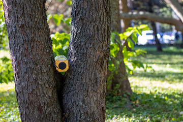 plastic bottle with water between a tree's trunk.  Nature in background. concept: healthy life, sport, drink water, nature, running outside, recycle plastic autumn
