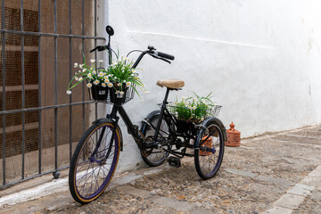 Fototapeta na wymiar Tricycle loaded with flower pots decorating a street in Vejer de la Frontera, a nice Andalusian town in the province of Cadiz, Spain