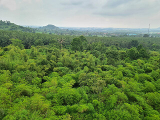 Fototapeta na wymiar Aerial view of forest trees, ecosystem of rainforest texture of green tree forest view