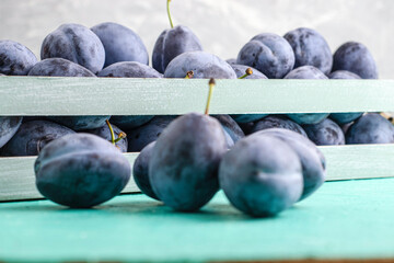freshly picked ripe plums in a vintage box several plums are lying next to each other on the table