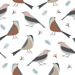 Cute hand drawn Christmas seamless pattern with colorful birds, fir tree branches and rowan berries. Winter flat design for textile, scrapbooking. Vector illustration background. Wild forest animals.