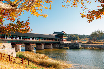 Woljeonggyo Korean traditional bridge at autumn in Gyeongju, Korea