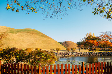 Autumn of Daereungwon ancient tomb in Gyeongju, Korea
