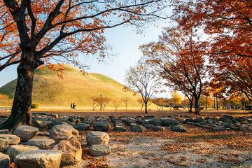 Autumn of Daereungwon ancient tomb in Gyeongju, Korea