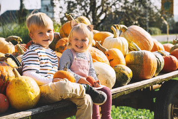 Family with kids at fall season. Preschool children sitting in pile of pumpkins at local farm...