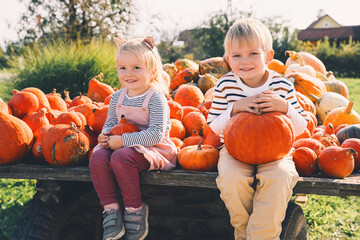 Family with kids at fall season. Preschool children sitting in pile of pumpkins at local farm market and picking pumpkin on Halloween or Thanksgiving holiday. - obrazy, fototapety, plakaty