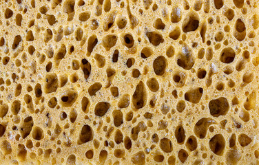 colored sponge detail texture, sponge texture background