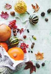 Autumn composition with assorted pumpkins in eco string bag