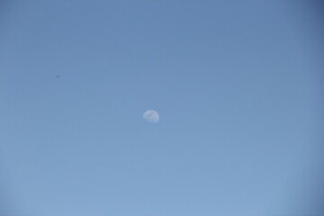 雲の無い青空に、透き通るような白さで浮かぶ月