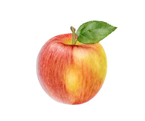 Apple watercolor illustration isolated on white background