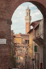 Fototapeta premium Siena. Via della città verso la Torre del Mangia.