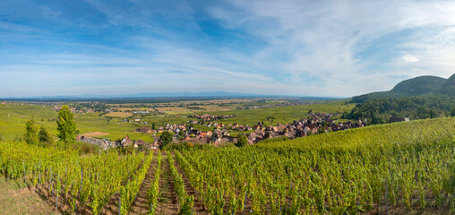 Fototapeta na wymiar scenic view to Gueberschwihr and vineyards in the Alsace region
