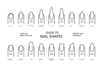 Guide to most popular perfect and different Nail Shapes with names. Vector Stock Set Icons.
