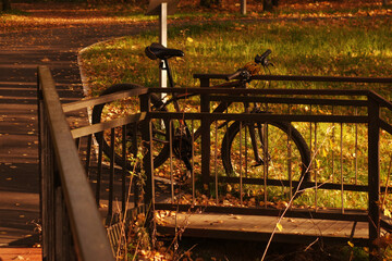 A bicycle near a metal fence in the autumn park
