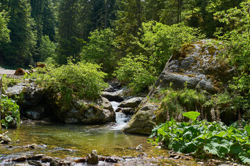 Little waterfall on a river in Retezat mountain in Campu lui Neag Romania