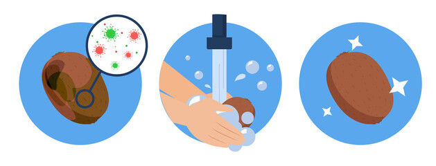 Washing kiwi concept vector isolated. Dirty fruit full of bacteria before and clean product after washing in the water. Hands wash kiwi with soap.