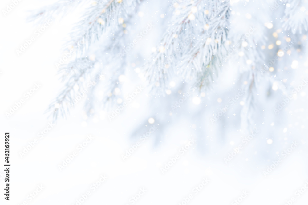 Wall mural blurred unfocused background of snowy branches of christmas tree and falling snow.