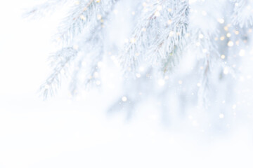 Blurred unfocused Background of snowy branches of Christmas tree and falling snow.