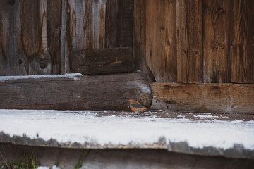 Snow on old wooden floor. Abstract texture of vintage wood, mountain hut outdoor wall, vintage construction. Selective focus on the details, blurred background.