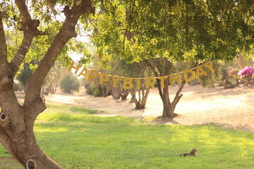 trees in the park happy birthday