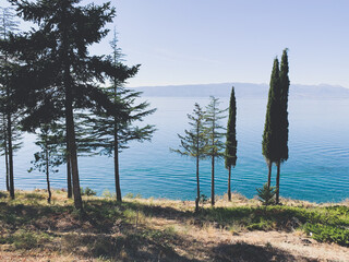 beautiful trees at the lake coast, lake view, blue lake and blue sky