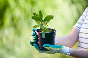 young woman with green plant