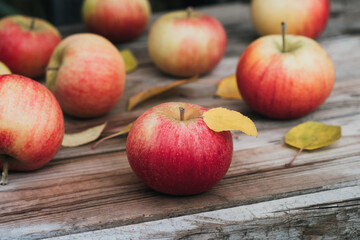 Fresh apples on wooden table in a garden. Autumn harvest, organic natural food. Close up