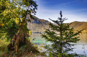 autumn view of eibsee bayern, beautiful blue lake