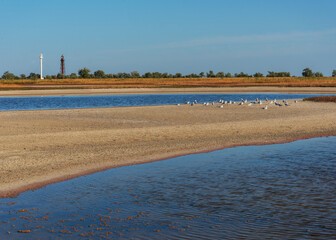 Summer landscape with salt lakes and birds against the background of lighthouses