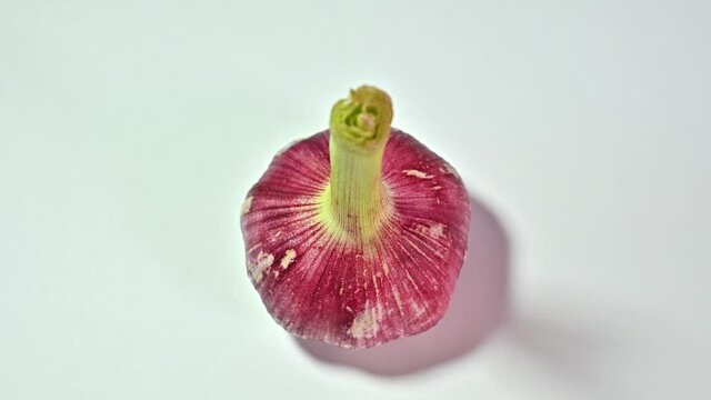 Head of garlic on white background spins. isolate.