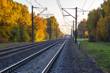 Railroad tracks go into the distance. Multicolored trees autumn time