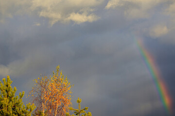 Sunset with storm clouds, rainbows and autumn trees.