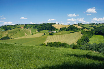 Rural landscape near Sala Baganza and Torrechiara, Parma, at springtime