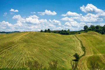 Fototapeta na wymiar Rural landscape near Sala Baganza and Fornovo, Parma, at springtime
