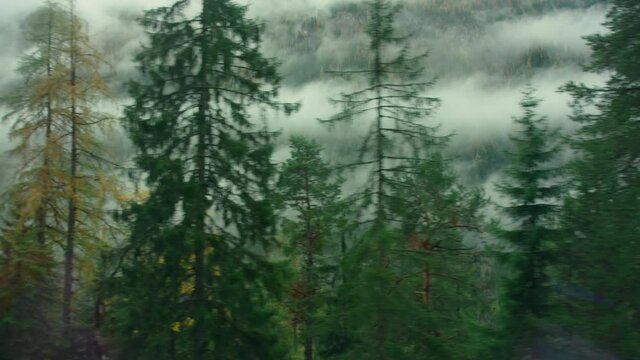 Moody and spooky cinematic forest pass by window. Clouds and fog on mountain cover forest valley. Majestic woods on autumn or winter day in Alps